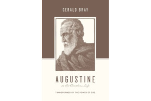 Augustine on the Christian Life: Transformed by the Power of God