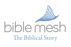 BIB201/BIB501: The Biblical Story