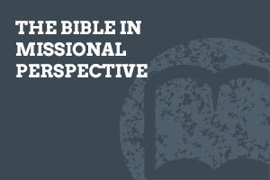 The Bible in Missional Perspective The Bible in Missional Perspective