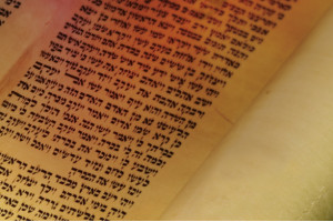 OTS115/OTS515: The Torah Story